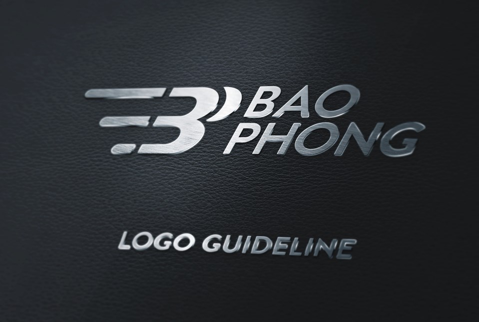 Thiết kế logo Công ty Bđs Bảo Phong