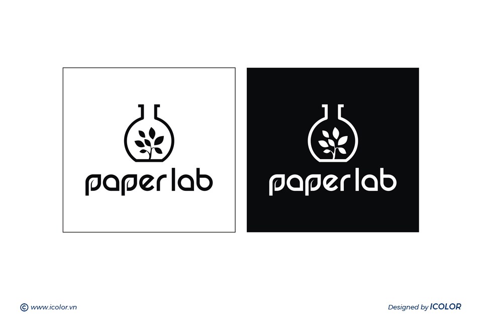 paper lab10