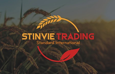 stinvie trading