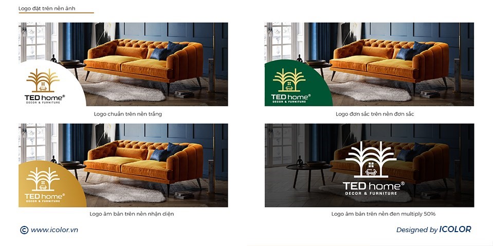 ted home12