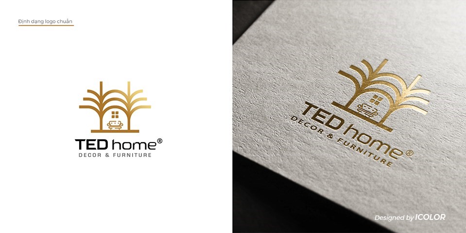 ted home2