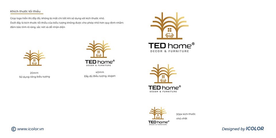 ted home5