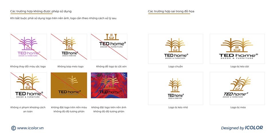 ted home6